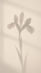 Fototapeta premium Elegant floral shadow art mobile wallpaper