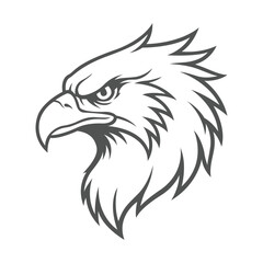 Obraz premium phoenix mascot logo vector design template modern style