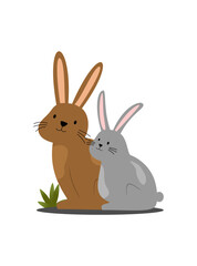Obraz premium Duo rabbits brown and grey isolated on white background