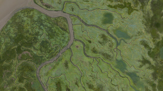 Aerial view intertwining patterns of marshland wetlands and river
