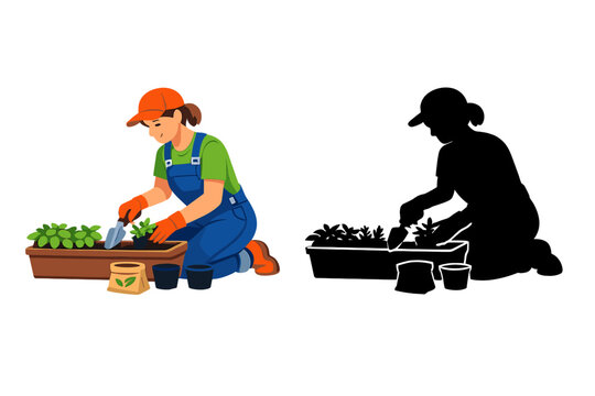 Gardener planting seedlings in a planter