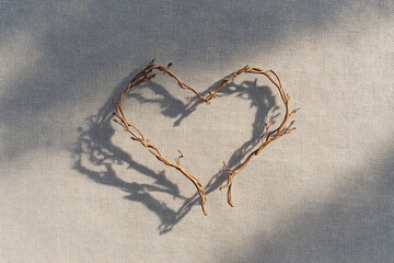nature-inspired design, two intertwining vines or branches creating a heart shape on a beige background, with a subtle texture contrast and warm natural morning light