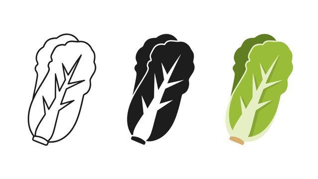 Lettuce leaf icons in black white and green color variations on white background
