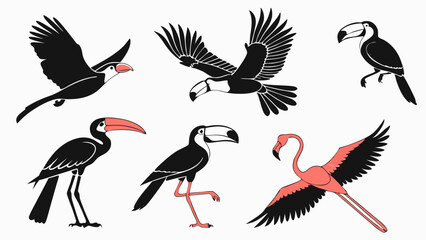 Obraz premium Exotic Toucan and Flamingo Bird Collection Vector Set for Wildlife Education Tropical Design Projects