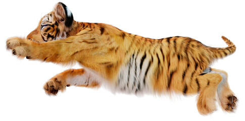 3D Rendering Tiger Cub on White © photosvac