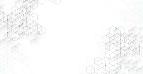 Abstract boxes background. Modern technology with square mesh. Geometric on white background with lines. Cube cell. Vector illustration