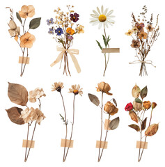 Obraz premium PNG Vintage dried floral arrangements on transparent background