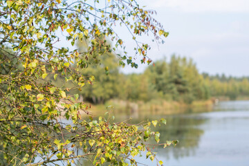 Branches of birch trees with green and yellow leaves stretch over the calm lake, the green forest under the bright sky is painted in autumn colors, creating a serene natural landscape,
