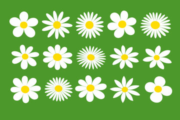 Obraz premium Set of white daisy flowers with yellow centers on a green background, arranged as simple flat icons with varied petals. Fresh spring floral collection for design.