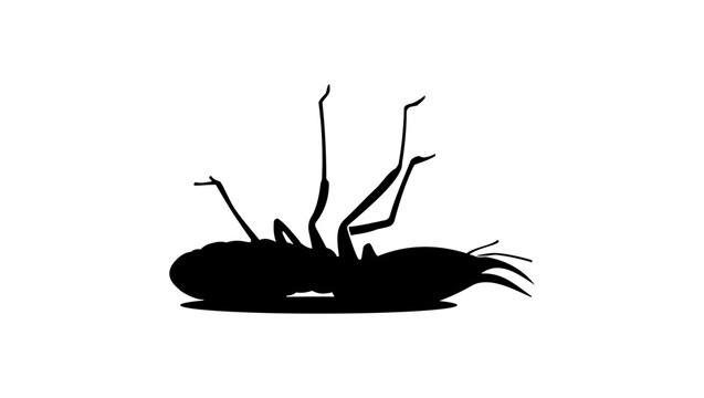 dead termite symbol ,black isolated silhouette