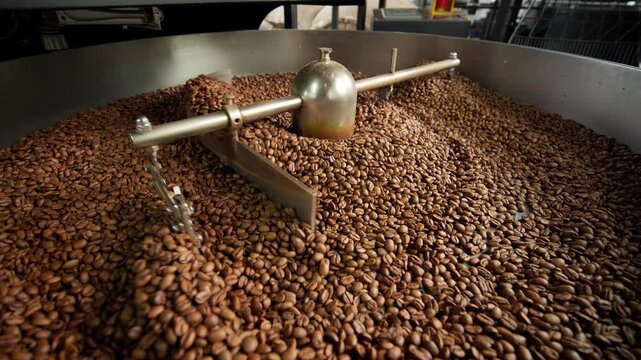 Fresh roasted coffee beans cooling in large industrial mixer machine roaster blend at modern factory aromatic brown grains blending mixing cocoa roasting closeup view of equipment production process