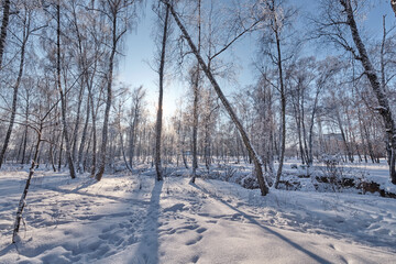 Frosty day by the river in the park.