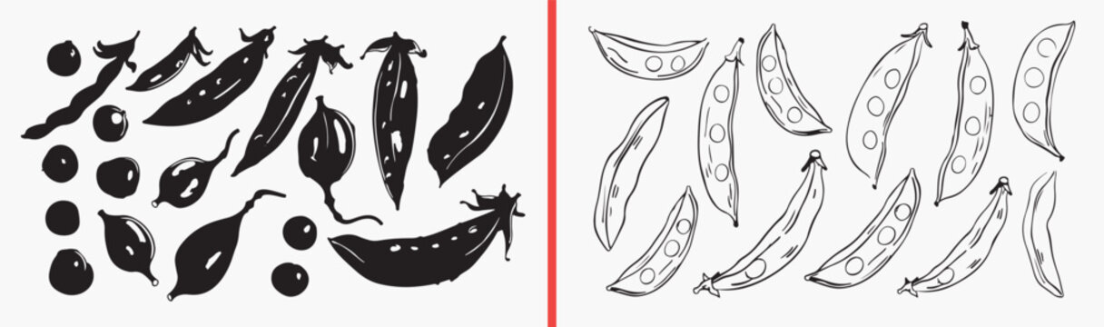Green beans icon set, vegetable food symbols, healthy beans outline icons, green beans vector pack, organic food icons, vegetable line icons, food ui pack

