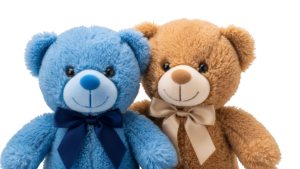 Two adorable teddy bears positioned together isolated on transparent background in an eye-level shot with soft lighting