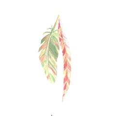 A composition of red and green feathers, hand-painted in watercolor on an isolated white background. Simple clip art of decorative elements for jewelry, costume jewelry, amulets, and dreamcatchers