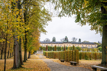 Alley of trees in autumn park in Potsdam Germany. Old plant garden nature