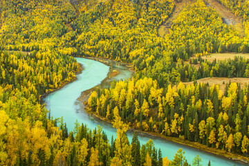 Winding turquoise river flows through vibrant forest of yellow and green trees, creating stunning...