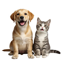 Fototapeta premium Happy puppy and kitten isolated on transparent background