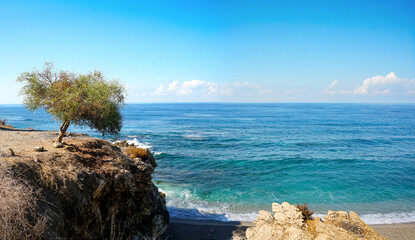 Isolated tree on a rocky cliff overlooking the bright turquoise sea under a vast blue sky. Scenic coastal nature landscape symbolizing solitude, endurance, travel, and environmental beauty.