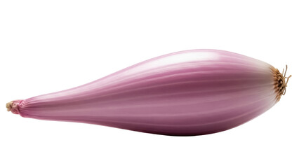 Isolated shallot bulb on a neutral surface for culinary use in cooking and food preparation