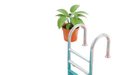 Potted plant on swimming pool ladder