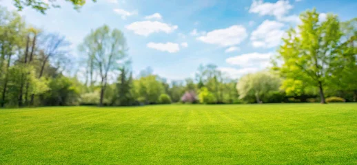 Fototapeten Pistazie Wide panoramic view of a fresh green lawn in a sunny park with blurry trees and blue sky. A peaceful spring nature background perfect for landscape design.  © Laura Pashkevich