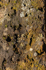 Weathered brick surface with moss and lichen showing erosion and natural texture