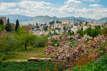 Landscape with flowers and trees against a mountains Sierra Nevada and roofs of the city. Famous Alhambra in front of Sierra Nevada. Granada, Spain.