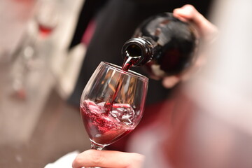 Lambrusco wine from Emilia Romagna region in Italy