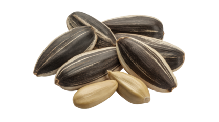 A detailed close up studio shot of a pile of black and white striped sunflower seeds in their shells with two shelled seeds on a pure black background