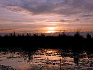Embarquement dans une barque de p&ecirc;che locale pour une visite du marais de Mabamba en Ouganda en Afrique au coucher du soleil.