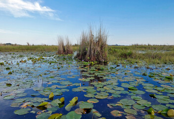 Embarquement dans une barque de p&ecirc;che locale pour une visite du marais de Mabamba en Ouganda en Afrique au coucher du soleil.