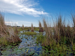 Embarquement dans une barque de p&ecirc;che locale pour une visite du marais de Mabamba en Ouganda en Afrique au coucher du soleil.