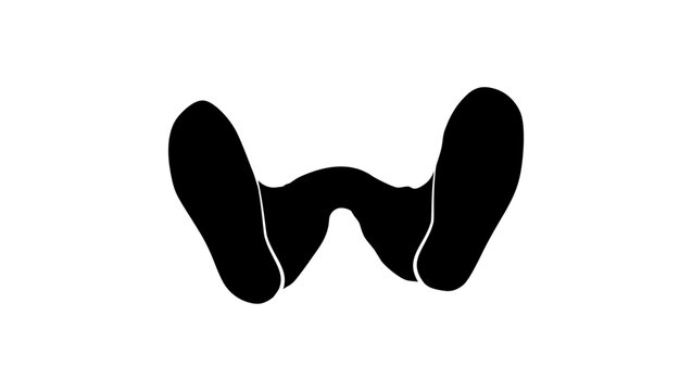 man standing, bottom view, black isolated silhouette