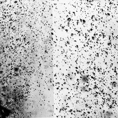 Obraz premium Black Specks on White Background Texture.