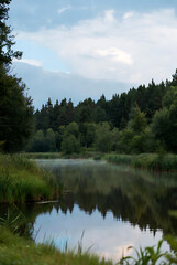 Forest lake in the mountains. Beautiful landscape of lake 