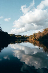 Forest lake in the mountains. Beautiful landscape of lake 