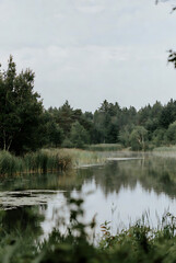 Forest lake in the mountains. Beautiful landscape of lake 