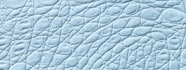Light blue reptile leather texture background. Embossed crocodile skin textile surface, macro...