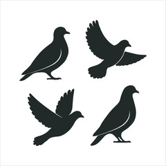 Obraz premium Collection of Dove and Pigeon Silhouettes in Various Poses
