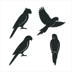 Fototapeta premium Set of Parrot Bird Silhouettes