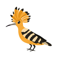 Hoopoe bird with crest feathers isolated on white background. Cute childrens animal illustration on the white background. Decorative wild bird for nature, wildlife, education and design projects.