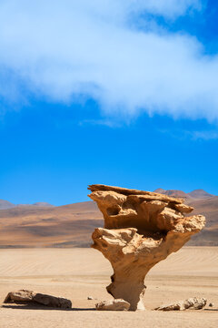 The &Aacute;rbol de Piedra ("Stone Tree") is a famous, tree-shaped volcanic rock formation in Bolivia's Siloli Desert,