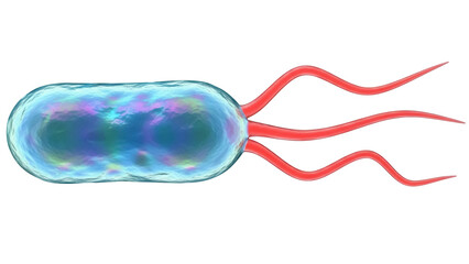Bacterium with flagella isolated PNG, single-celled microorganism with appendages for movement on transparent background