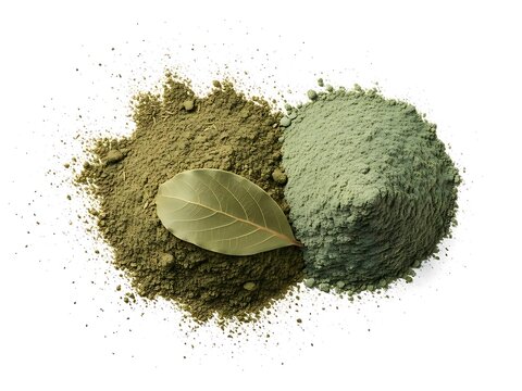 Green clay powders and a bay leaf natural beauty and skincare ingredients
