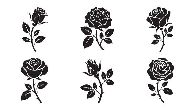 Collection of black rose flowers with stem and leaves isolated on white background in various styles