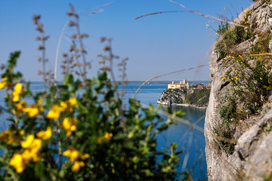View of Duino Castle from the Rilke Trail in spring
