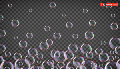 Vector realistic illustration of soap bubbles on a transparent background.