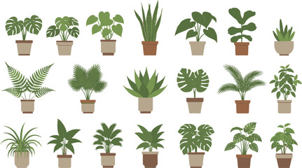 Professional vector illustration set of assorted indoor houseplants in ceramic pots including monstera, snake plant, fiddle leaf fig, ferns, and spider plants.