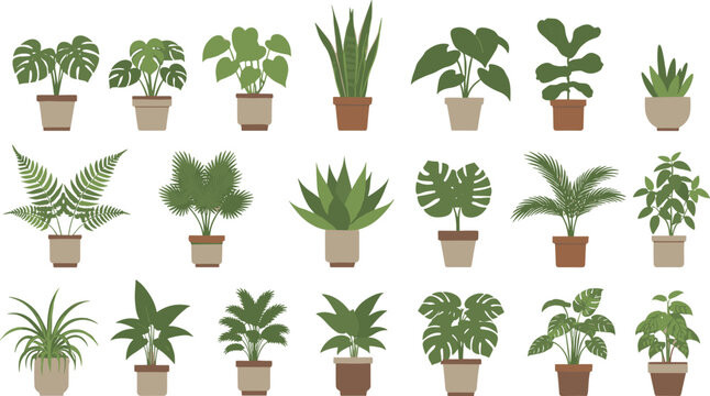 Professional vector illustration set of assorted indoor houseplants in ceramic pots including monstera, snake plant, fiddle leaf fig, ferns, and spider plants.